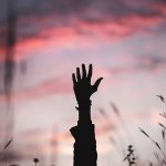 solo opiniones.com bryan minear 317365