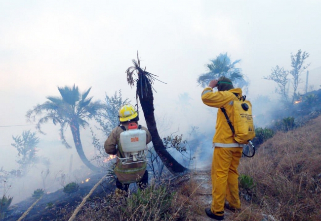 23 incendios forestales en Guerrero