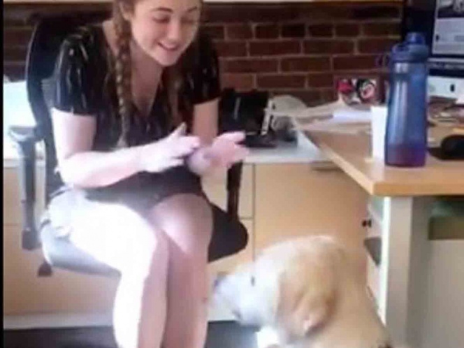 Le enseña lenguaje de señas a perra sorda, mira lo que pasó