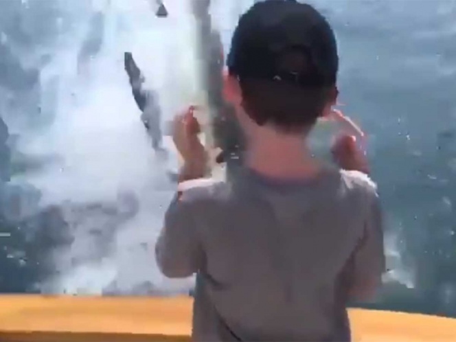 Tiburón blanco roba pesca a familia
