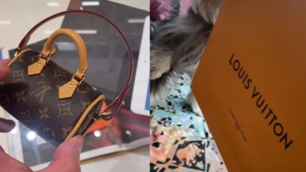 ¡Nada barato! Venden bolso para heces de perro Louis Vuitton en 18 mil pesos