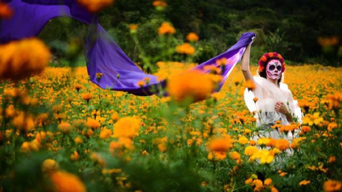 Explica a los niños el origen de la flor de cempasúchil con esta romántica leyenda