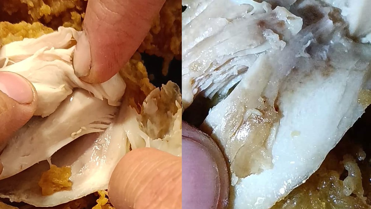 Sucursal del KFC vende pollo infestado con larvas