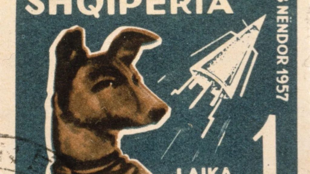 Este fue el triste final de Laika, la perrita que viajó al espacio