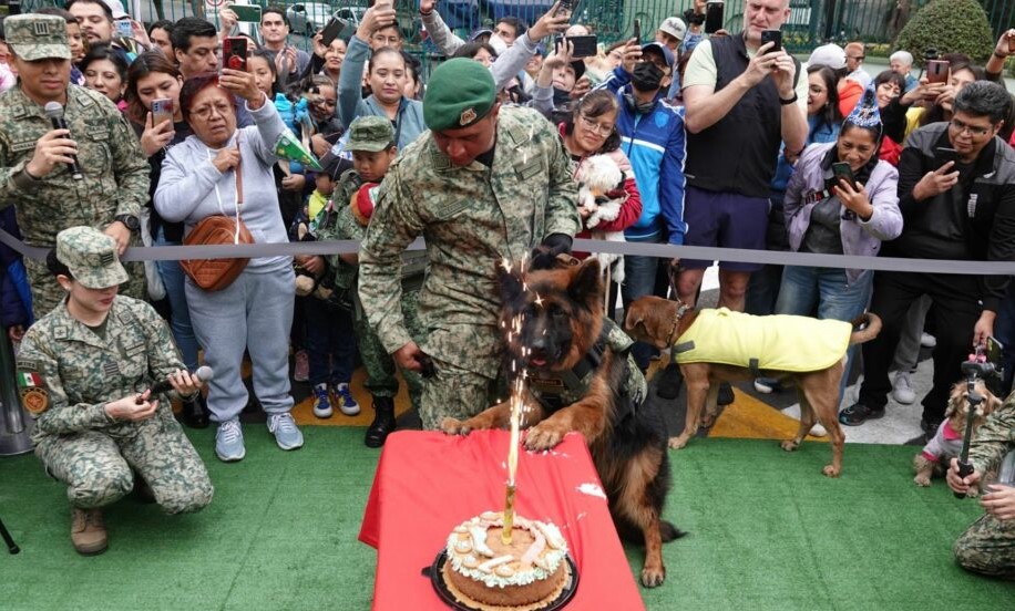 “Arkadas”, perrito donado por Turquía, cumple un año