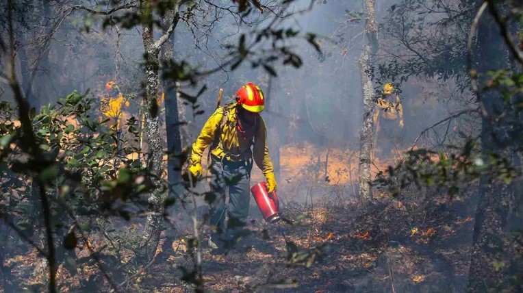 Aumentan incendios forestales en Yucatán y Quintana Roo.