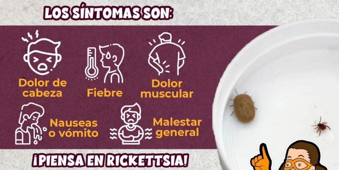 Trabaja Salud Sonora en prevención contra fiebre manchada por rickettsia rickettsii