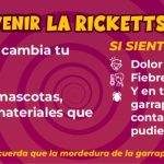 solo opiniones.com 300x100