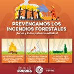 solo opiniones.com 260x280 2