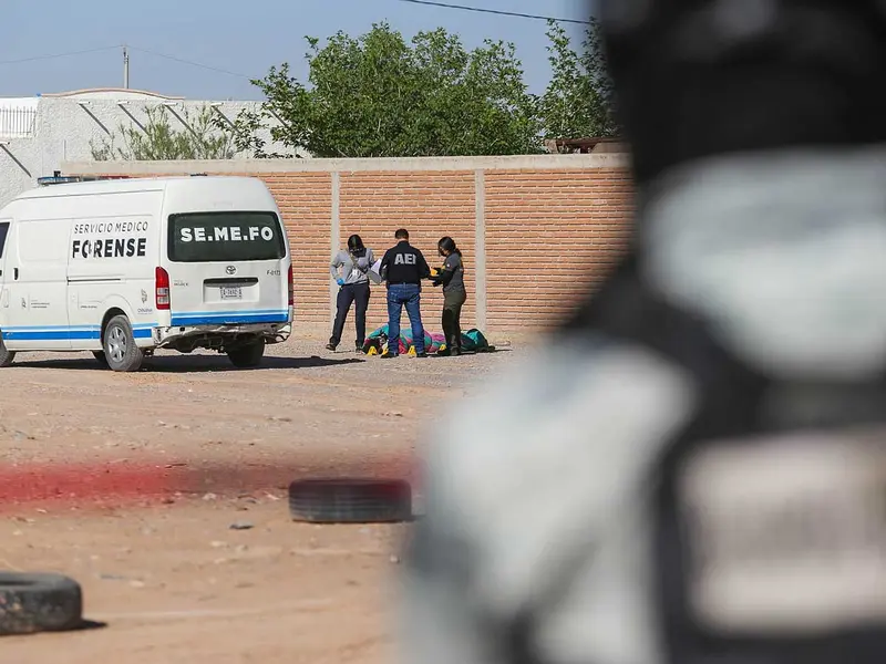 ¿Estamos en la ruta de reducir la violencia en México? 2 solo opiniones.com image 5