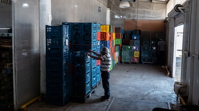 Exportaciones a EU marcan récord en julio 85 con TMEC 3 solo opiniones.com image 3
