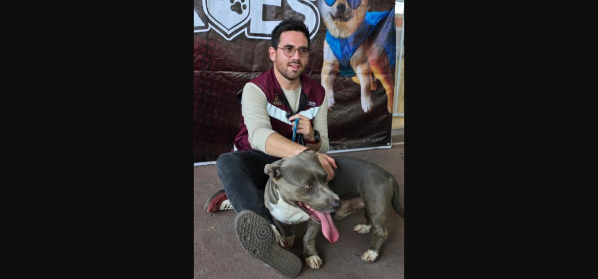 Óscar Rébora reafirma el compromiso del gobierno con el bienestar animal y la salud pública 2 solo opiniones.com oscar rebora anuncia caravana de salud animal