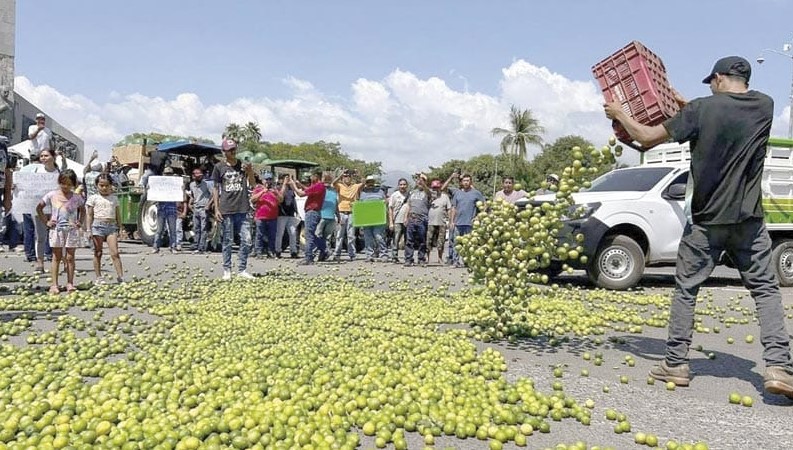 Productores de limón piden seguridad: reunión clave en Apatzingán 1 productores de limón siguen pidiendo seguridad al gobierno