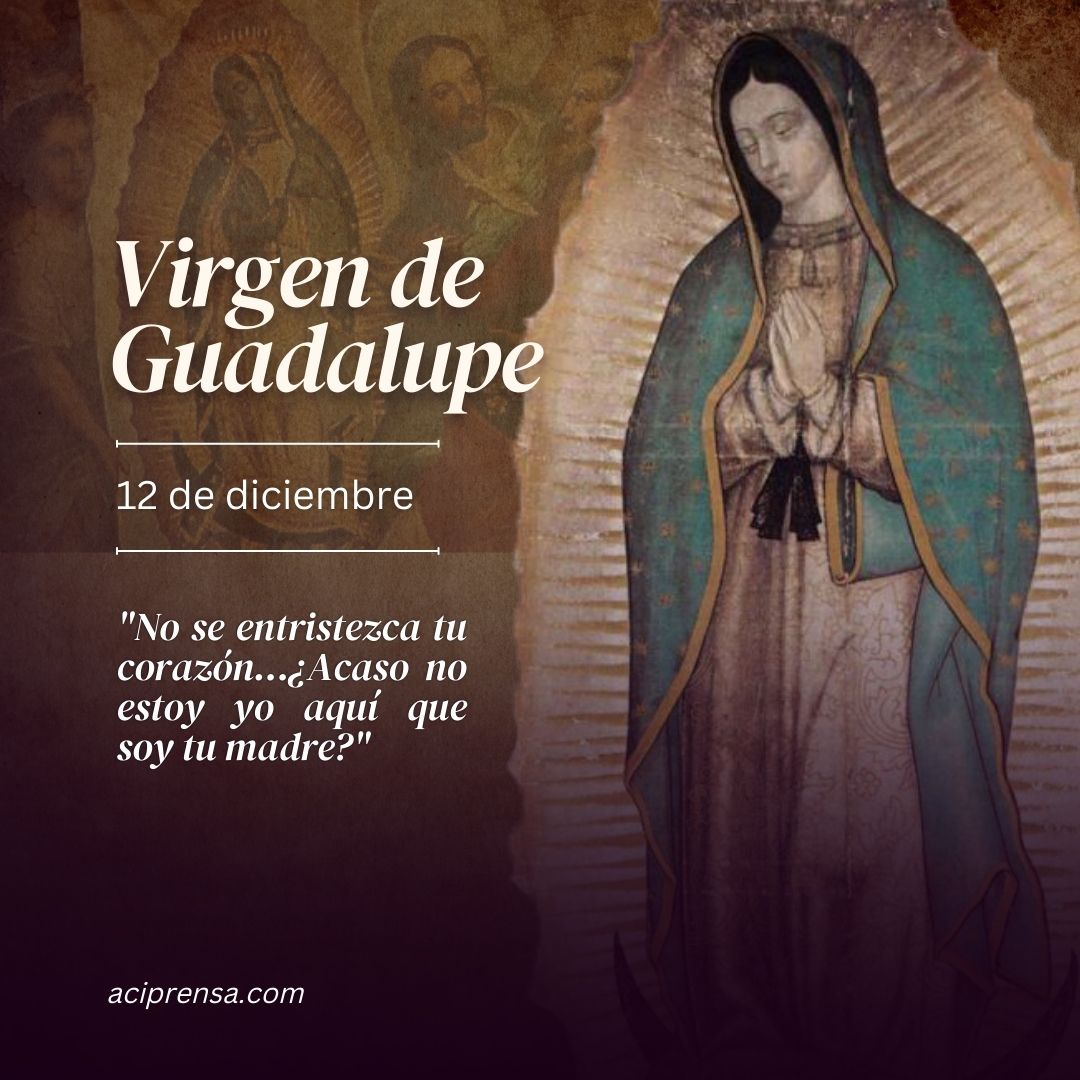 virgen de guadalupe