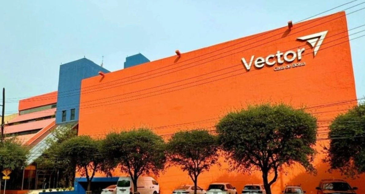 Vector: 6 Claves de la Revocación de su Licencia 1 Vector