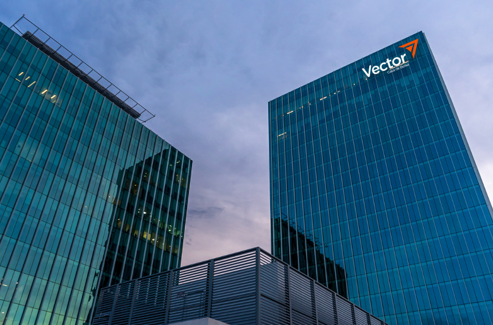 Vector: 6 Claves de la Revocación de su Licencia 2 Vector