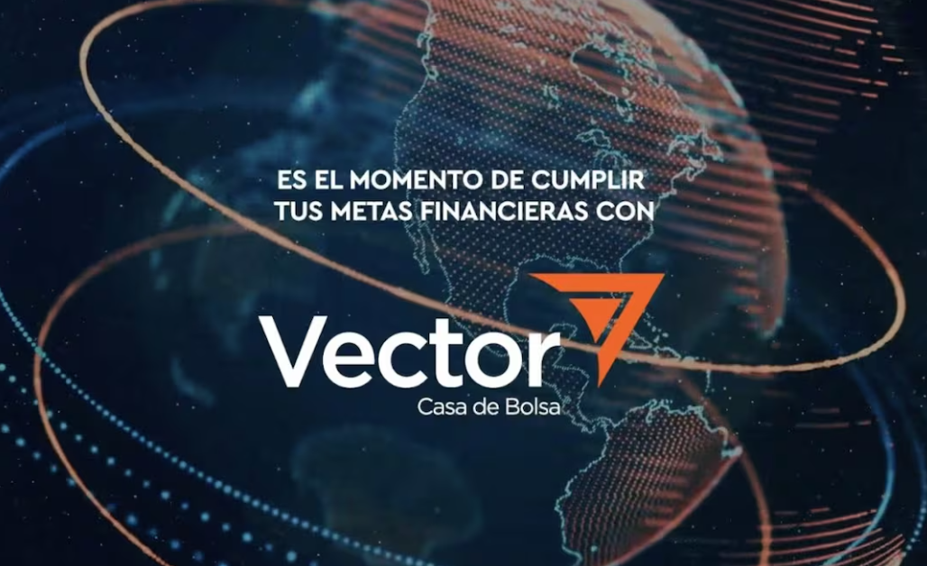 Vector: 6 Claves de la Revocación de su Licencia 1 Vector